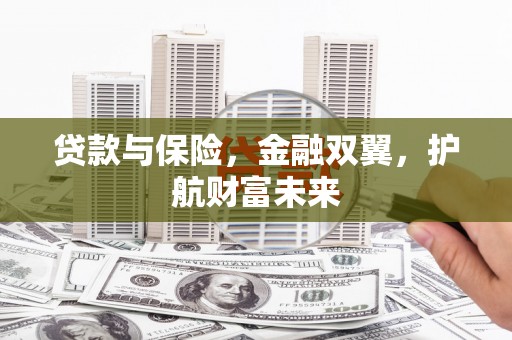 东宝贷款与保险，金融双翼，护航财富未来