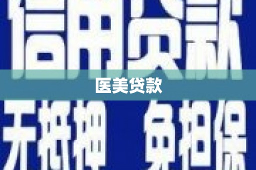东宝医美贷款