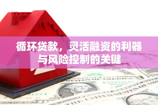 东宝循环贷款，灵活融资的利器与风险控制的关键