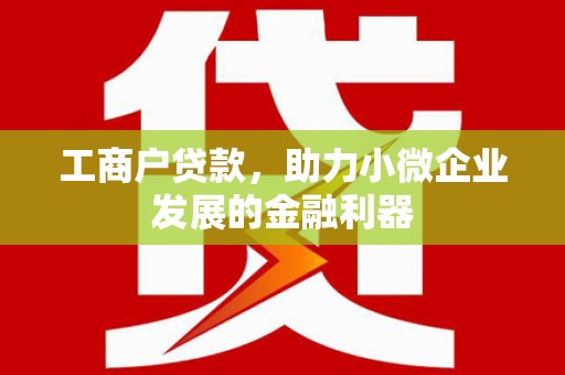 东宝工商户贷款，助力小微企业发展的金融利器