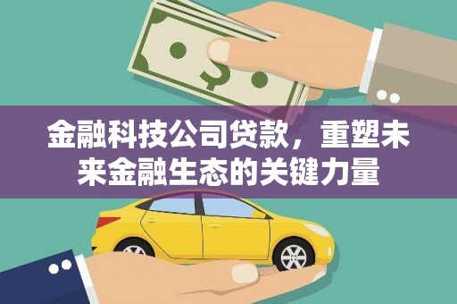 东宝金融科技公司贷款，重塑未来金融生态的关键力量