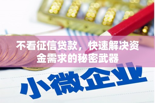 东宝不看征信贷款，快速解决资金需求的秘密武器