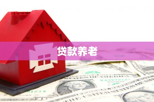 东宝贷款养老