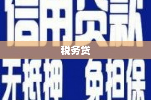 东宝税务贷