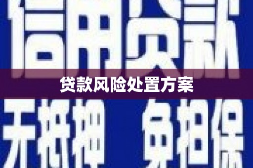东宝贷款风险处置方案