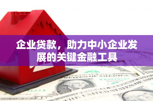 东宝企业贷款，助力中小企业发展的关键金融工具