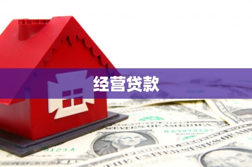 东宝经营贷款