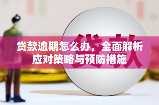 东宝贷款逾期怎么办，全面解析应对策略与预防措施
