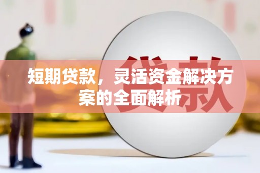 东宝短期贷款，灵活资金解决方案的全面解析