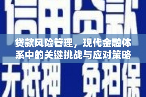 东宝贷款风险管理，现代金融体系中的关键挑战与应对策略