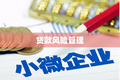 东宝贷款风险管理