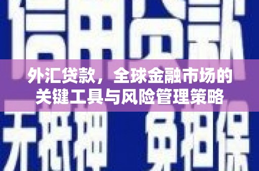 东宝外汇贷款，全球金融市场的关键工具与风险管理策略