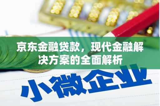 东宝京东金融贷款，现代金融解决方案的全面解析