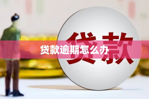 东宝贷款逾期怎么办