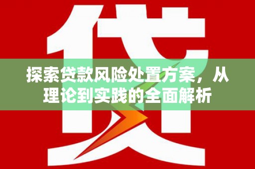 东宝探索贷款风险处置方案，从理论到实践的全面解析