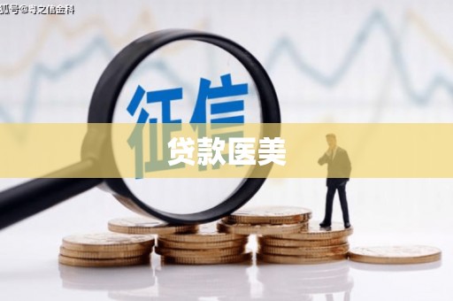 东宝贷款医美