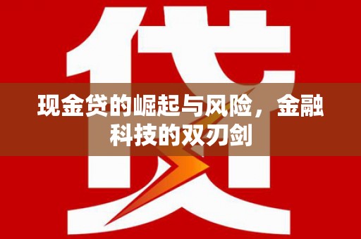 东宝现金贷的崛起与风险，金融科技的双刃剑