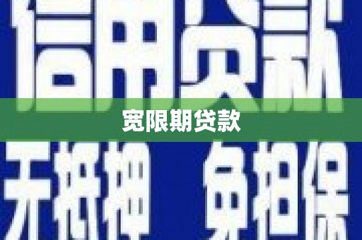 东宝宽限期贷款