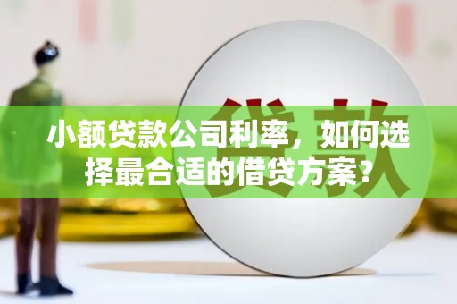 东宝小额贷款公司利率，如何选择最合适的借贷方案？