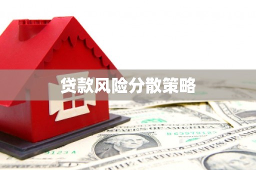 东宝贷款风险分散策略