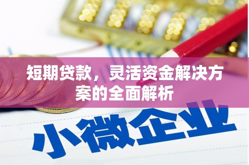 东宝短期贷款，灵活资金解决方案的全面解析