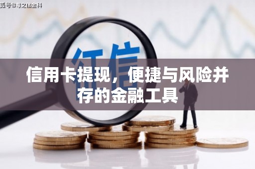 东宝信用卡提现，便捷与风险并存的金融工具