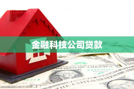 东宝金融科技公司贷款