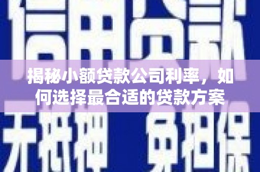 东宝揭秘小额贷款公司利率，如何选择最合适的贷款方案