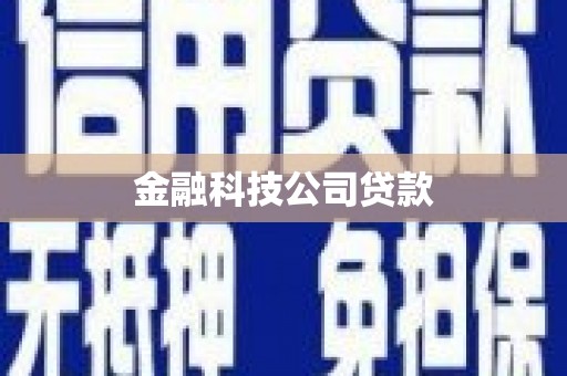 东宝金融科技公司贷款