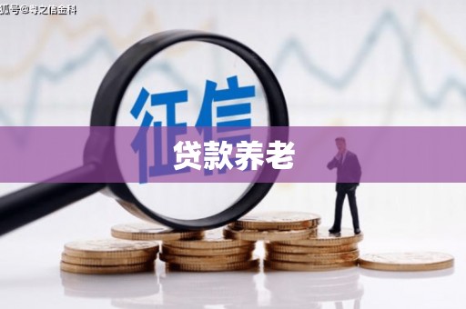 东宝贷款养老