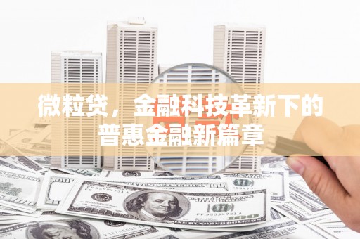 东宝微粒贷，金融科技革新下的普惠金融新篇章