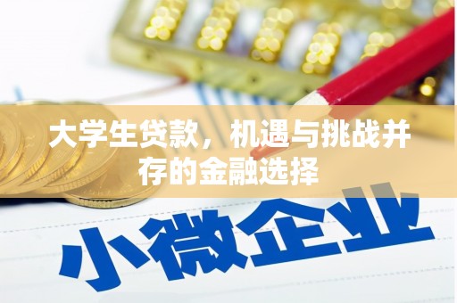东宝大学生贷款，机遇与挑战并存的金融选择