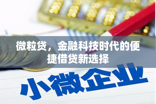 东宝微粒贷，金融科技时代的便捷借贷新选择