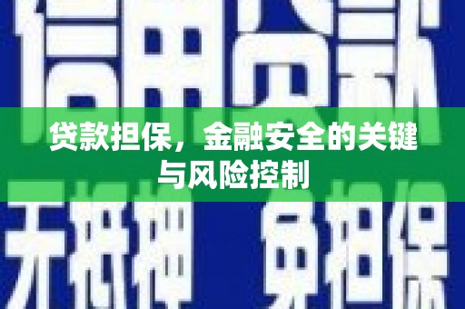 东宝贷款担保，金融安全的关键与风险控制