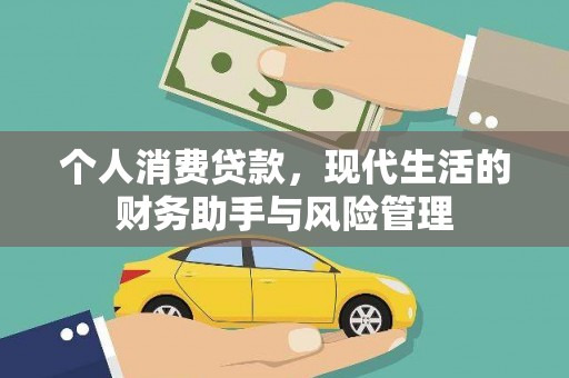 东宝个人消费贷款，现代生活的财务助手与风险管理