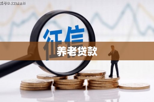东宝养老贷款