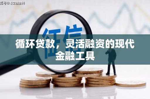 东宝循环贷款，灵活融资的现代金融工具