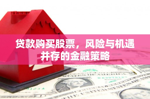东宝贷款购买股票，风险与机遇并存的金融策略