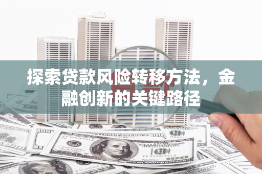 东宝探索贷款风险转移方法，金融创新的关键路径