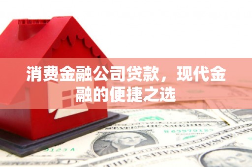 东宝消费金融公司贷款，现代金融的便捷之选