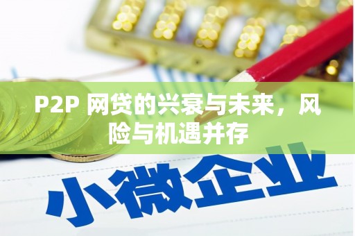 东宝P2P 网贷的兴衰与未来，风险与机遇并存