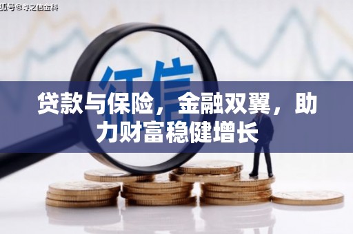 东宝贷款与保险，金融双翼，助力财富稳健增长