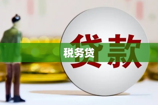 东宝税务贷