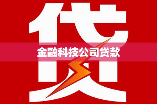 东宝金融科技公司贷款
