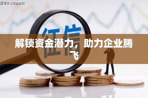 东宝解锁资金潜力，助力企业腾飞