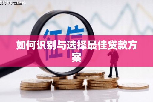 东宝如何识别与选择最佳贷款方案