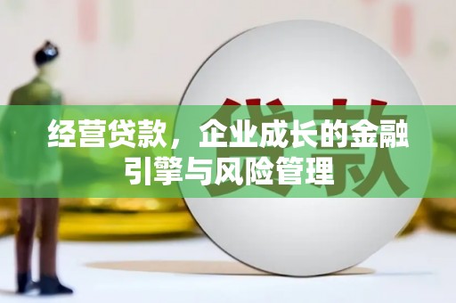 东宝经营贷款，企业成长的金融引擎与风险管理