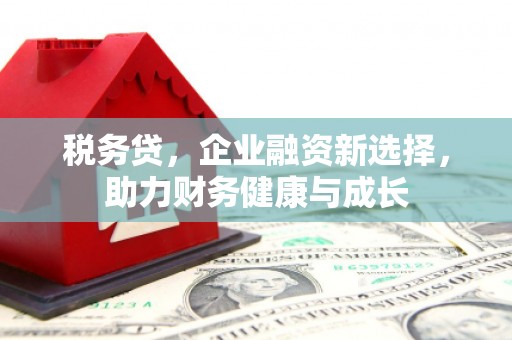 东宝税务贷，企业融资新选择，助力财务健康与成长