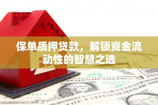 东宝保单质押贷款，解锁资金流动性的智慧之选