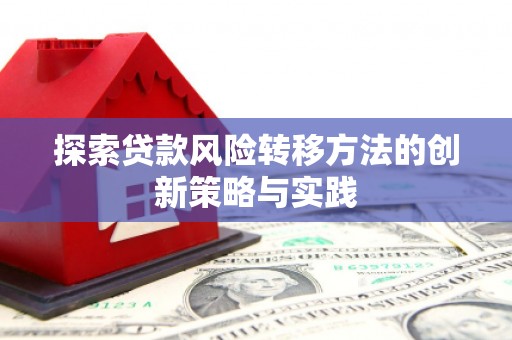 东宝探索贷款风险转移方法的创新策略与实践